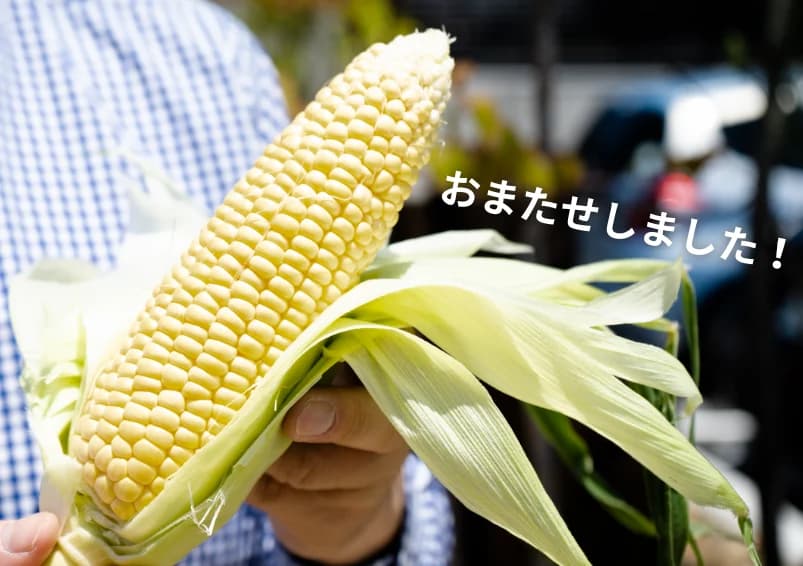 お待たせしました！5/30(木)～森町の朝採れ甘々娘の販売を開始いたします！